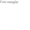 Nummer 32261