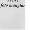 Nummer 32966