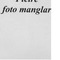 Nummer 32995