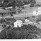 Nummer 33584