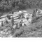Nummer 33683