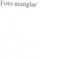 Nummer 34172