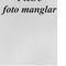 Nummer 37014