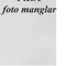 Nummer 37044
