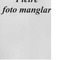 Nummer 38078