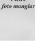 Nummer 39108
