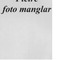 Nummer 39400