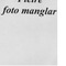 Nummer 39484