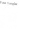Nummer 39564