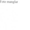Nummer 39599