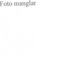 Nummer 39705