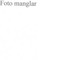Nummer 39911