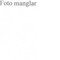 Nummer 40663
