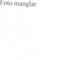 Nummer 41005