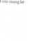 Nummer 41117