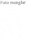 Nummer 41556