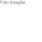 Nummer 41856