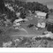 Nummer 41956