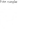 Nummer 4206