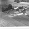 Nummer 42167