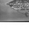 Nummer 42280