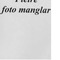 Nummer 4234
