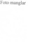 Nummer 42534