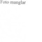 Nummer 42669