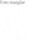 Nummer 43123