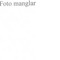 Nummer 43554