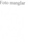 Nummer 43568