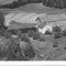Nummer 44075