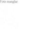 Nummer 44813