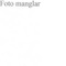 Nummer 44815