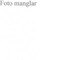 Nummer 44817