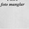 Nummer 4496