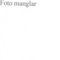 Nummer 45047