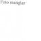 Nummer 45366