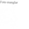 Nummer 45376