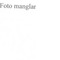 Nummer 45565