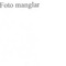 Nummer 45616