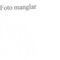Nummer 46579