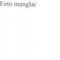 Nummer 48016