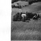 Nummer 4841
