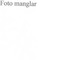 Nummer 48943