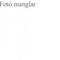 Nummer 49315