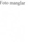 Nummer 49355