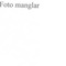 Nummer 49831