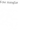 Nummer 49833