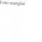 Nummer 49899